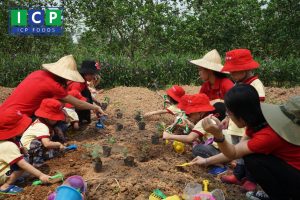 MỘT BUỔI TRẢI NGHIỆM TRANG TRẠI CỦA CÔ TRÒ TRƯỜNG MẦM MON QUỐC TẾ SAKURA MONTESSORI HÀ ĐÔNG